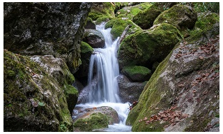 MYRA VÍZESÉS – BADEN