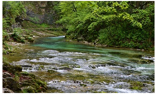 SZLOVÉNIA KINCSEI: BLED, BOHINJI-TÓ ÉS A VINTGAR-SZURDOK