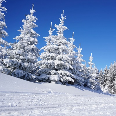 Téli élmények és szánkózás Semmeringen