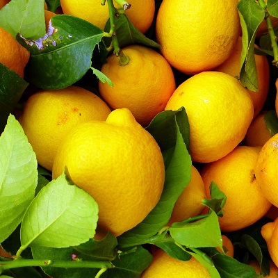 Citromfesztivál a Cinque Terre és a Ligúr tengerpart bűvöletében